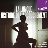 LSD, la série documentaire artwork