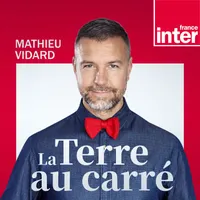 La Terre au carré artwork