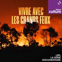 LSD, la série documentaire artwork