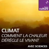 La Science CQFD artwork