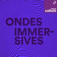 Les documentaires de France Culture artwork