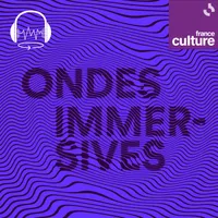 Les documentaires de France Culture artwork