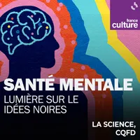 Les émissions de savoir de France Culture artwork