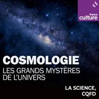 Les émissions de savoir de France Culture artwork