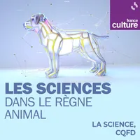 La Science CQFD artwork