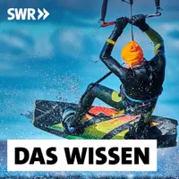 Das Wissen | SWR artwork