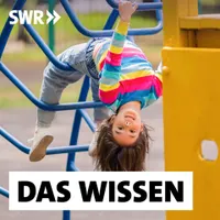 Das Wissen | SWR artwork