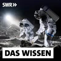 Das Wissen | SWR artwork