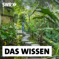 Das Wissen | SWR artwork