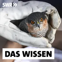 Das Wissen | SWR artwork