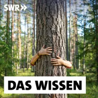 Das Wissen | SWR artwork