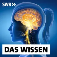 Das Wissen | SWR artwork