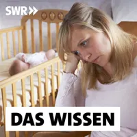 Das Wissen | SWR artwork