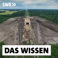 Das Wissen | SWR artwork