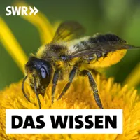 Das Wissen | SWR artwork