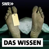 Das Wissen | SWR artwork