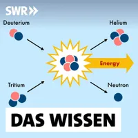 Das Wissen | SWR artwork