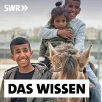Das Wissen | SWR artwork