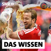 Das Wissen | SWR artwork
