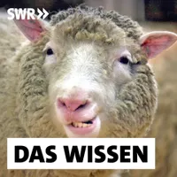 Das Wissen | SWR artwork