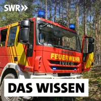 Das Wissen | SWR artwork