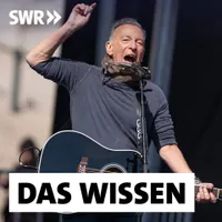 Das Wissen | SWR artwork