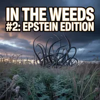 The Higherside Chats artwork