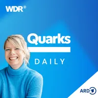 Quarks Daily artwork