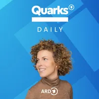 Quarks Daily artwork
