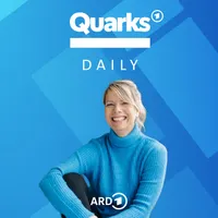 Quarks Daily artwork