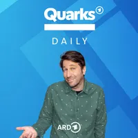 Quarks Daily artwork