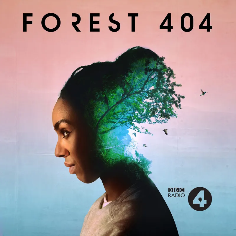 Forest 404 artwork
