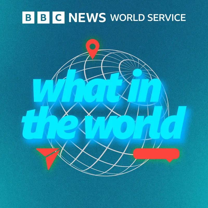 What in the World artwork