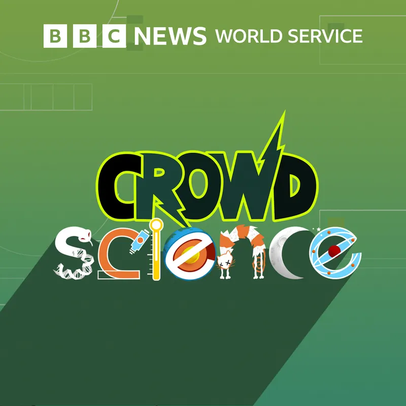 CrowdScience artwork