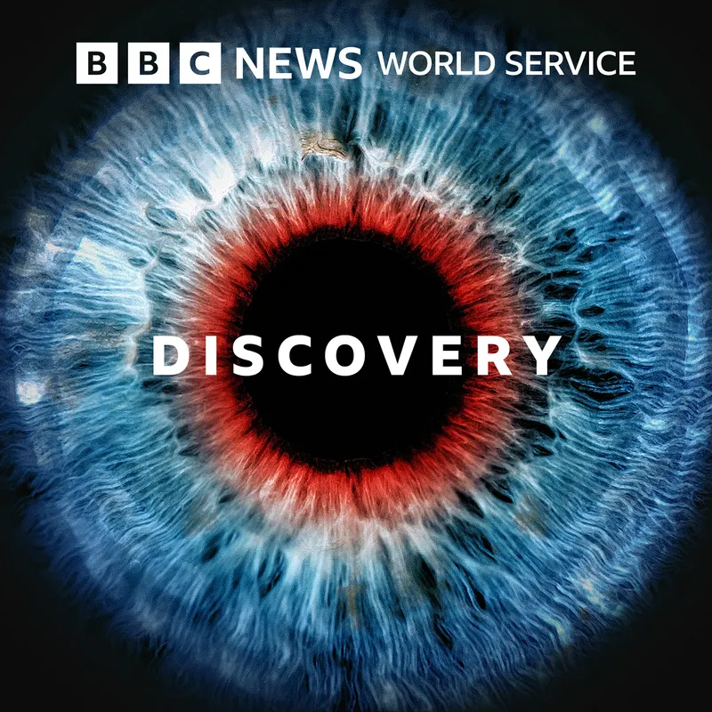 Discovery artwork