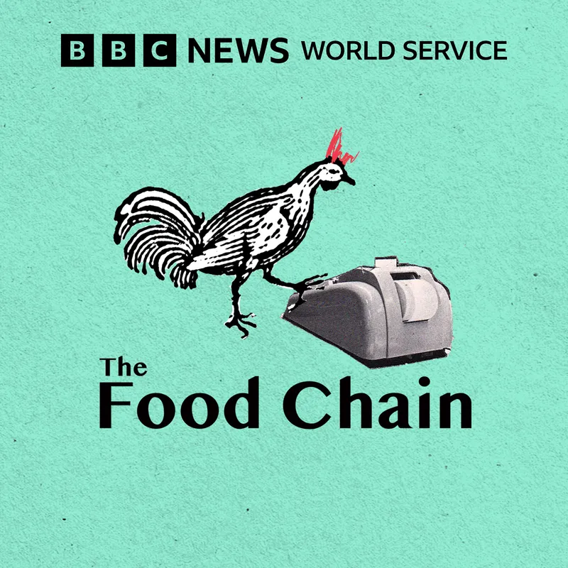The Food Chain artwork