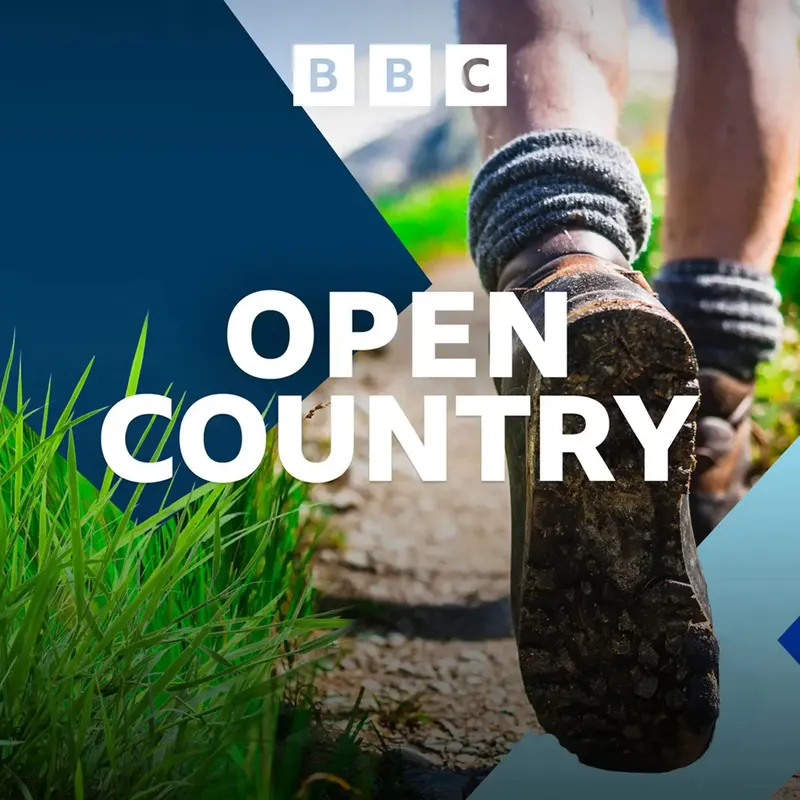 Open Country artwork