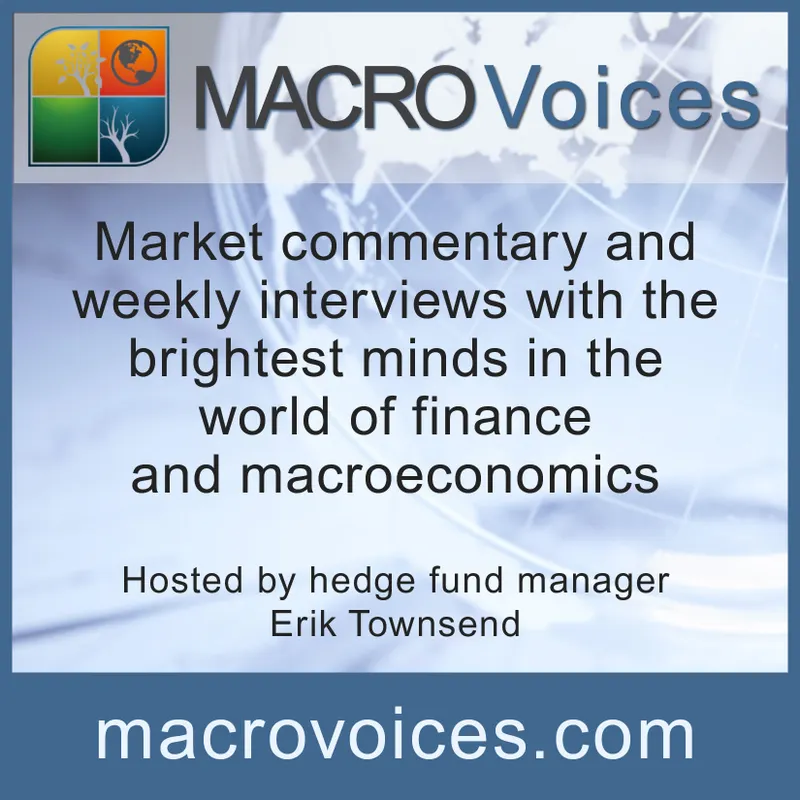 Macro Voices artwork