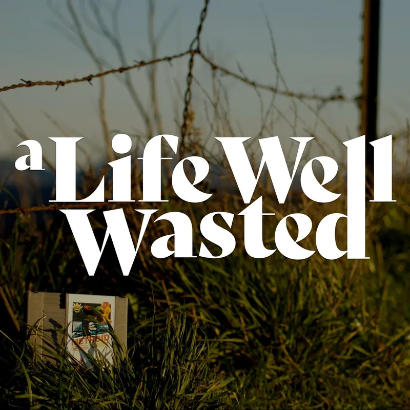 A Life Well Wasted artwork
