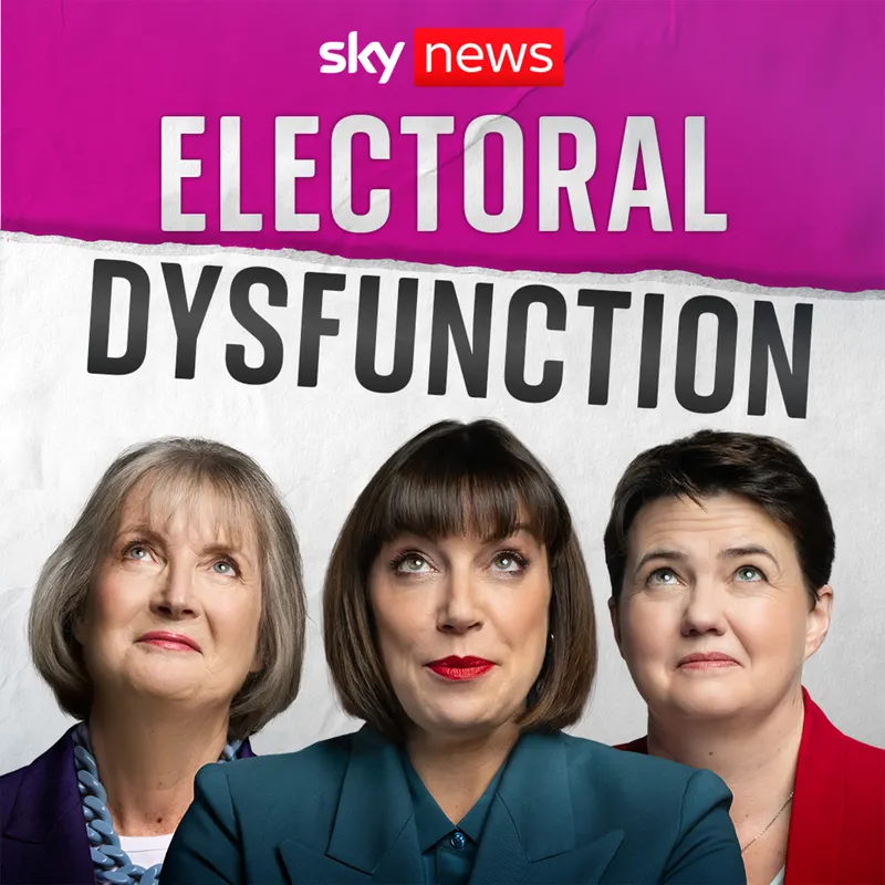 Electoral Dysfunction artwork