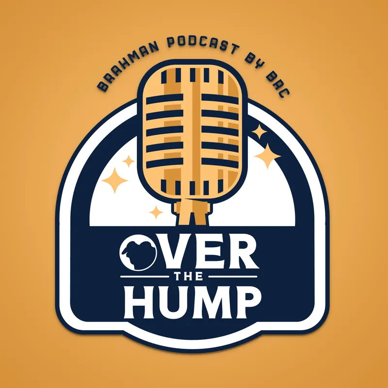 Over the Hump artwork
