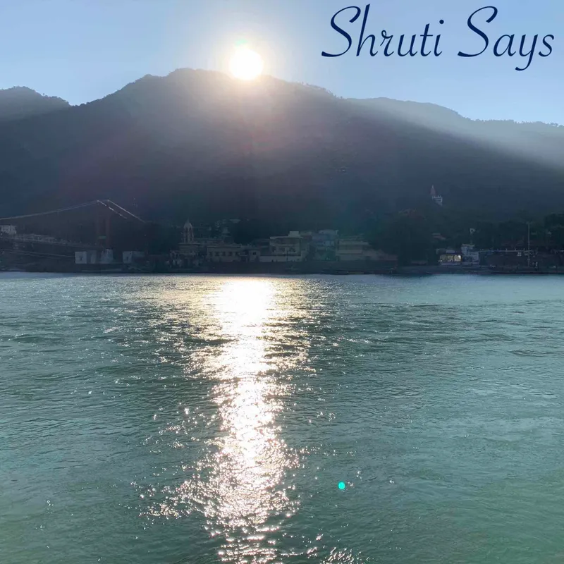 Shruti Says artwork