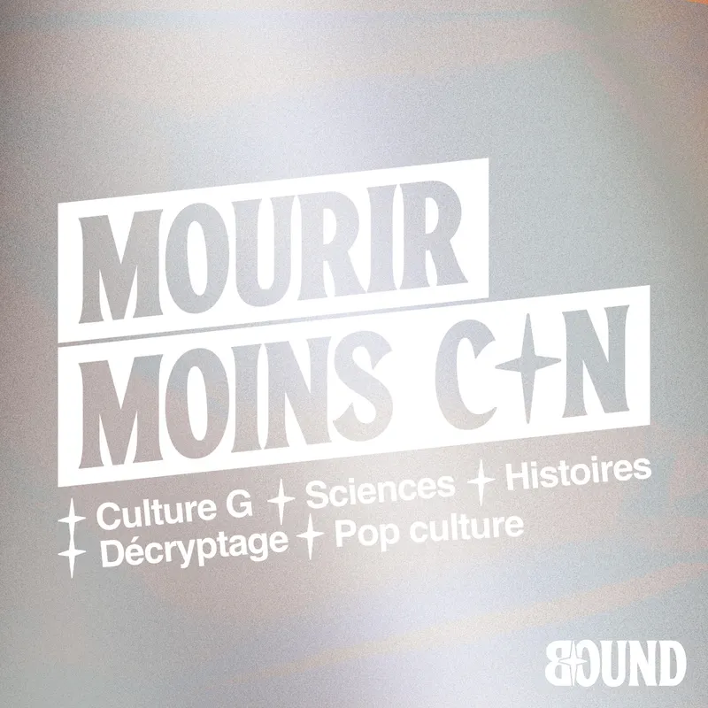 Mourir Moins Con artwork