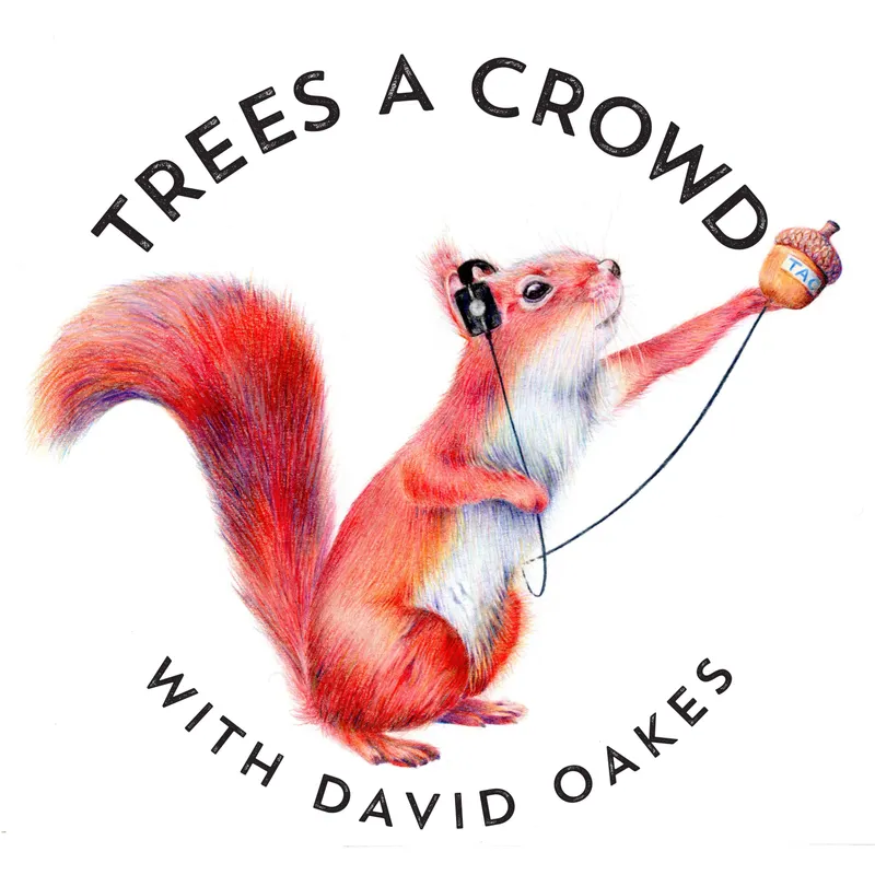 Trees A Crowd artwork