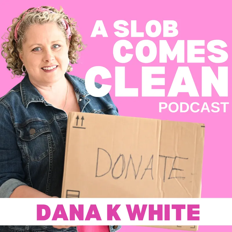 A Slob Comes Clean artwork
