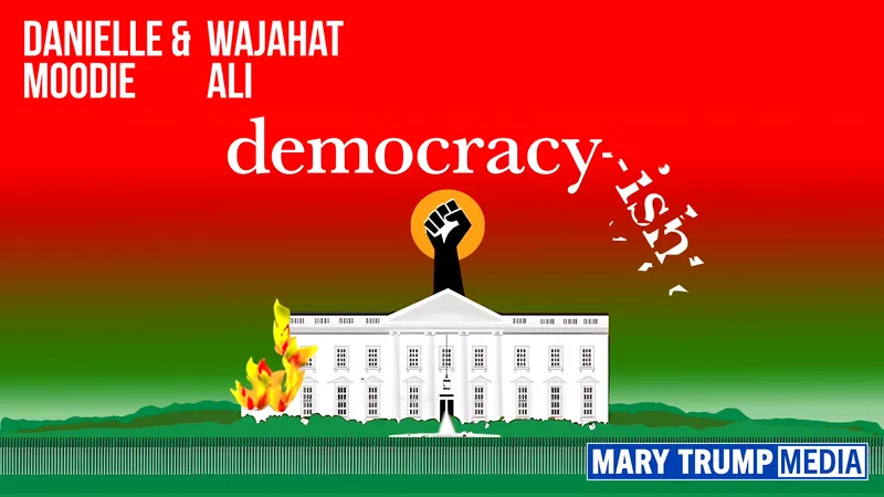 democracy-ish artwork