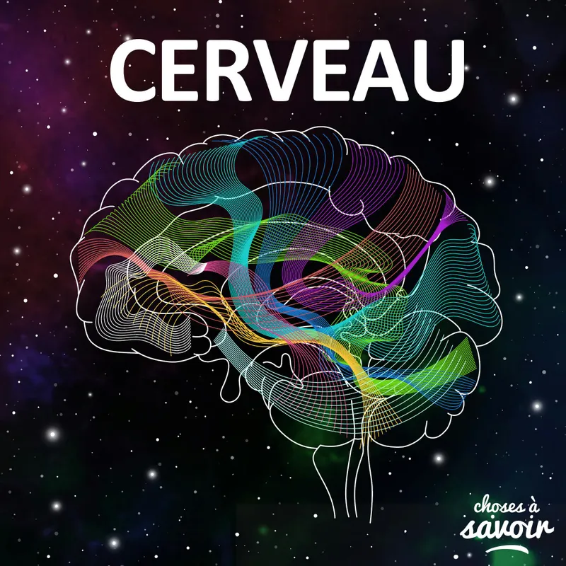 Choses à Savoir CERVEAU artwork