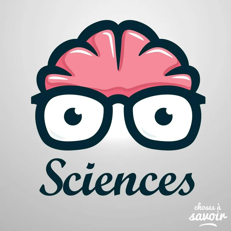Choses à Savoir SCIENCES artwork