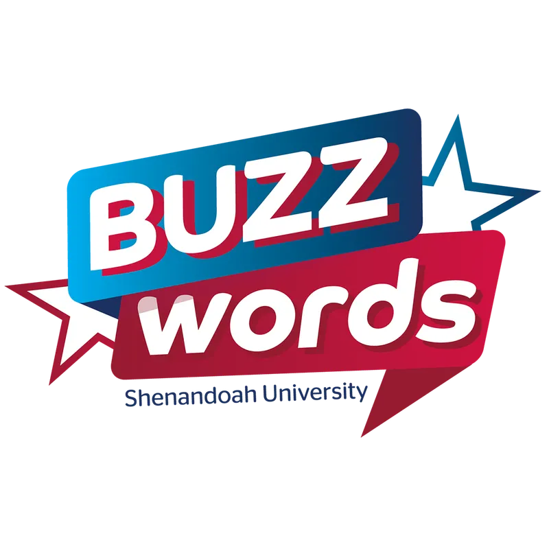 Buzzwords: Conversations about Teaching and Learning at SU artwork