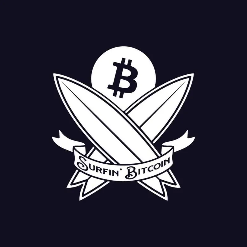 Surfin' Bitcoin artwork